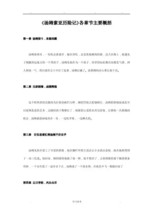 《汤姆索亚历险记》各章节主要概括