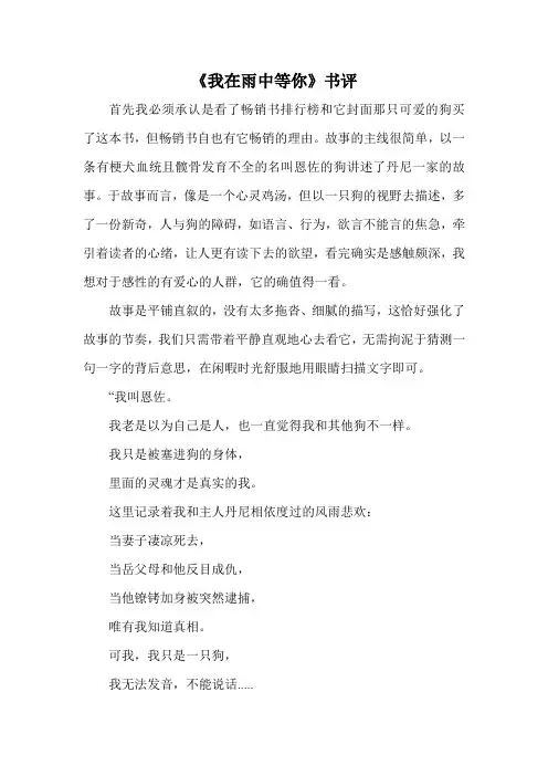 我在雨中等你书评
