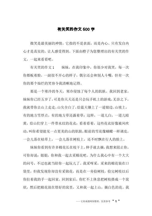 有关笑的作文500字