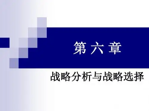 第六章 战略分析与选择