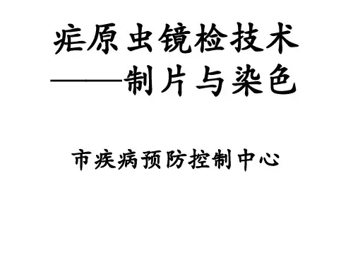 疟原虫的镜检技术-制片染色