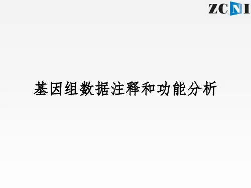 序列比对的目的