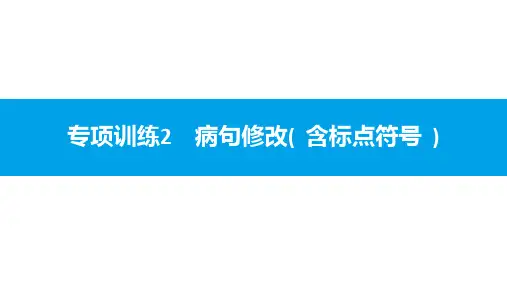 统编人教部编版语文八年级下册语文专项训练2 病句修改(含标点符号)