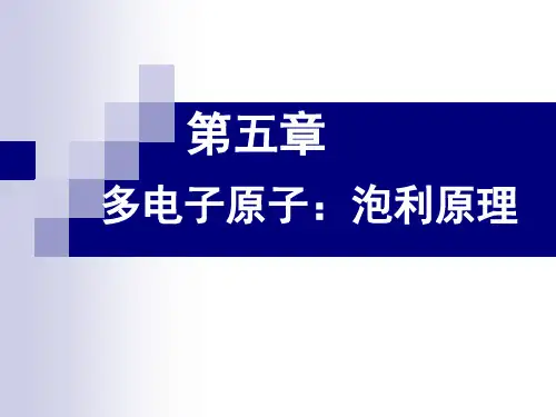 多电子原子泡利原理