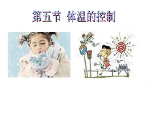 3.5 体温的控制