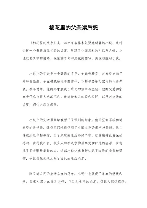棉花里的父亲读后感