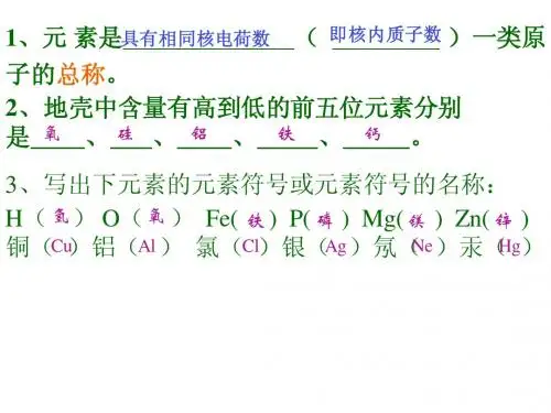 《化学式与化合价》第一课时参考课件