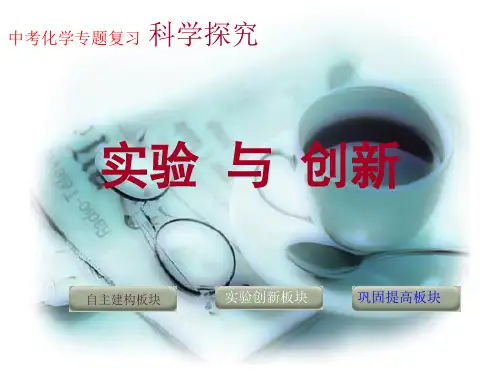 初中化学人教版九年级上册实验活动2 二氧化碳的实验室制取与性质