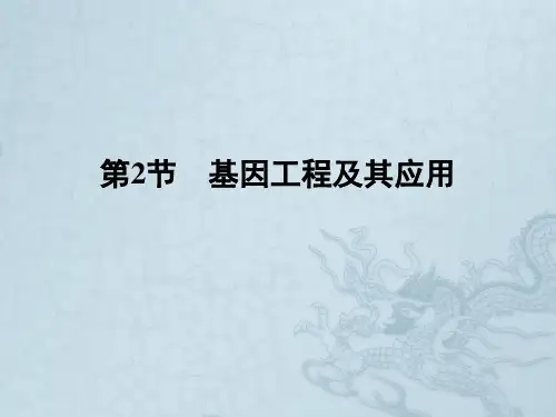 高一生物人教版必修2课件 6.2基因工程及其应用