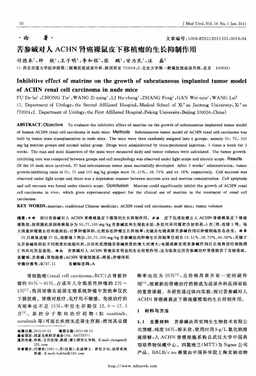 苦参碱对人ACHN肾癌裸鼠皮下移植瘤的生长抑制作用