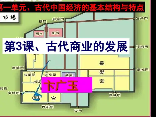 高中历史必修二第三课PPT