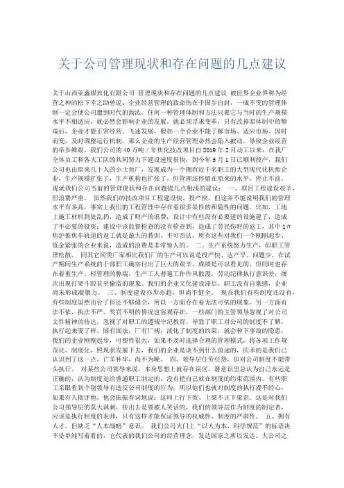 总结报告-关于公司管理现状和存在问题的几点建议 精品
