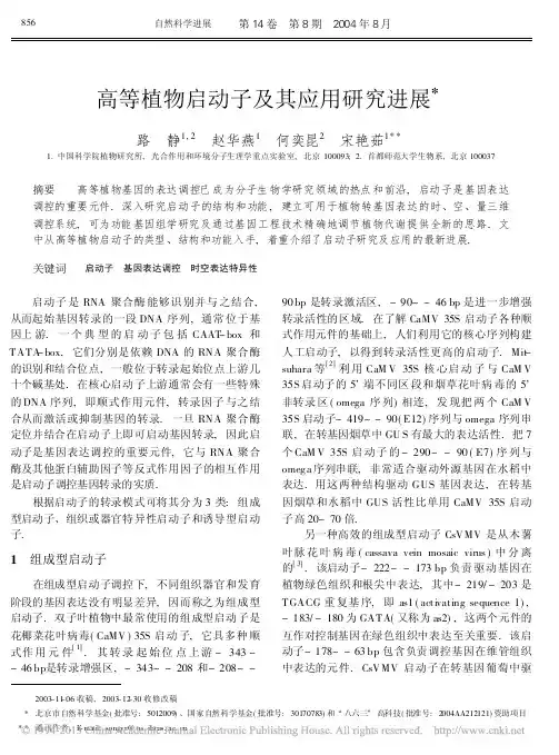 高等植物启动子及其应用研究进展_路静
