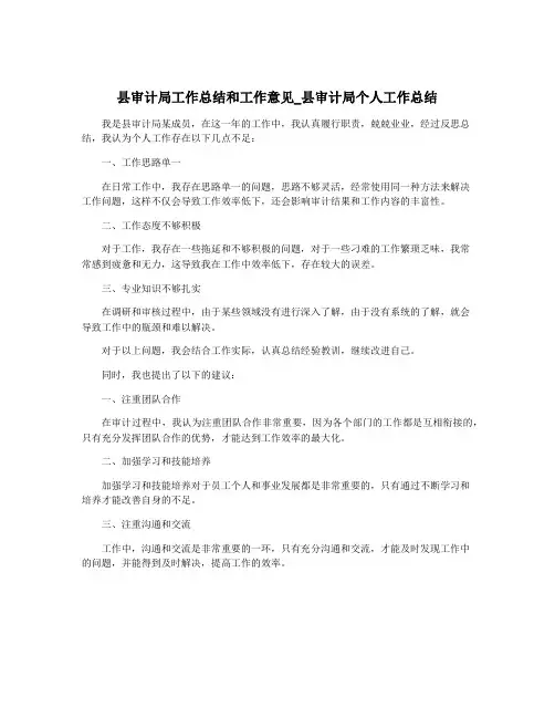 县审计局工作总结和工作意见_县审计局个人工作总结