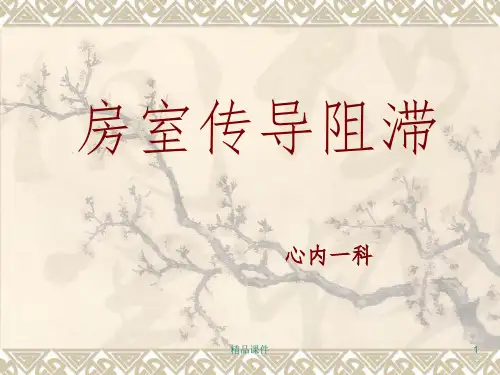 房室传导阻滞完整PPT课件