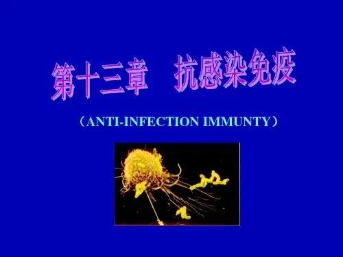 抗感染免疫PPT课件