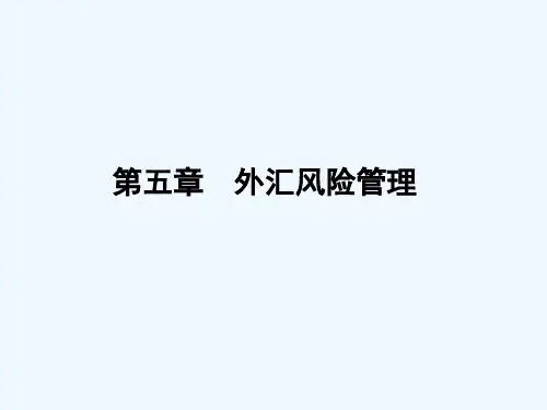 第5章外汇风险管理