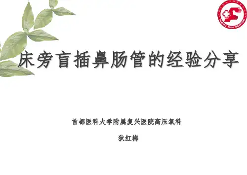 鼻肠管