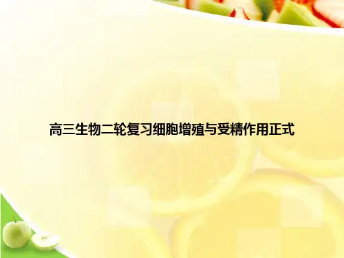 高三生物二轮复习细胞增殖与受精作用正式ppt文档