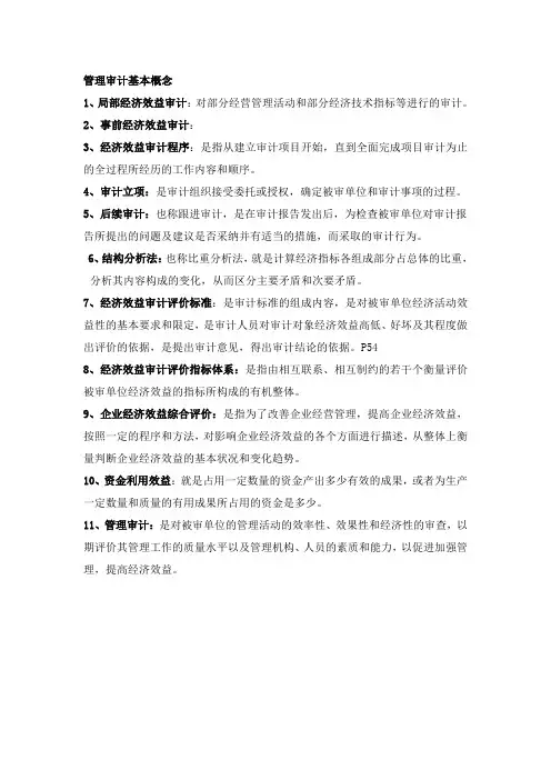 管理审计名词解释