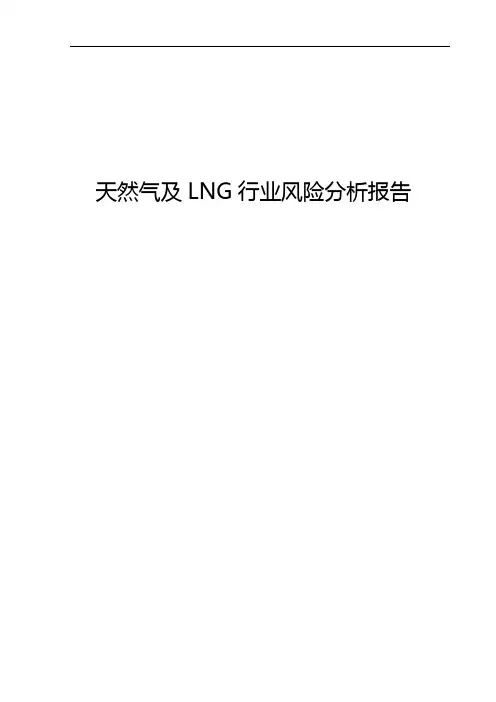 2017年天然气及LNG行业风险分析报告