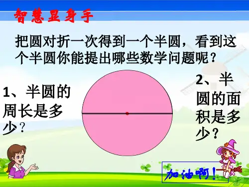 圆对折动画演示