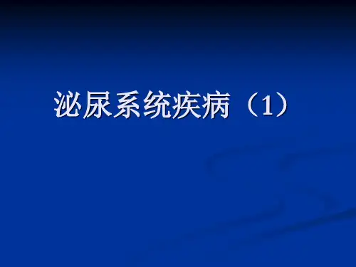 泌尿系统(1)-膀胱