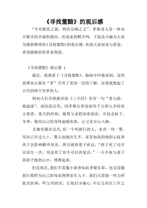 《寻找董黯》的观后感