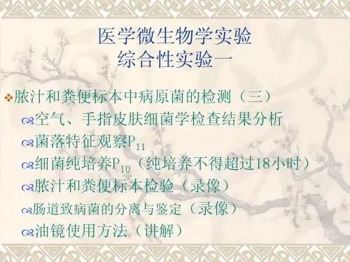 微生物实验3