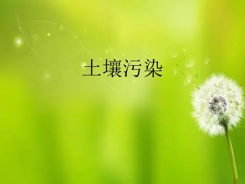土壤污染_PPT.ppt