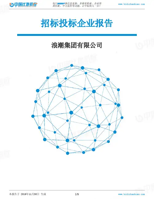 浪潮集团有限公司-招投标数据分析报告