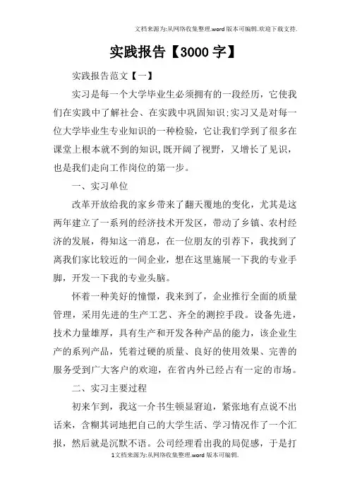 实践报告【3000字】