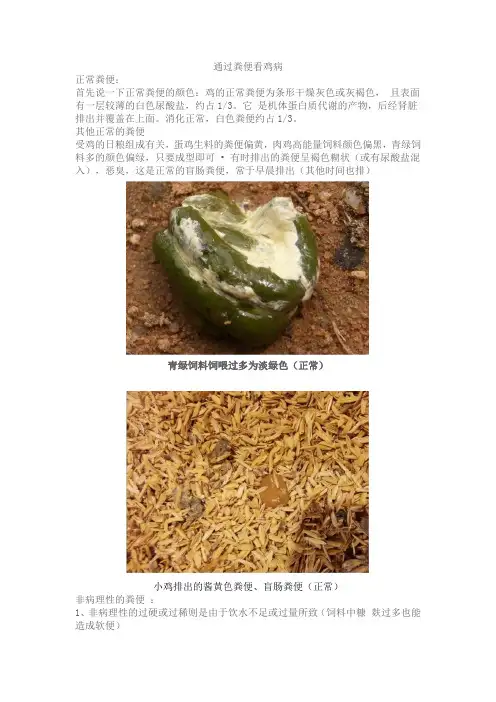 通过粪便看鸡病
