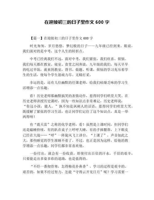 在迎接初三的日子里作文600字