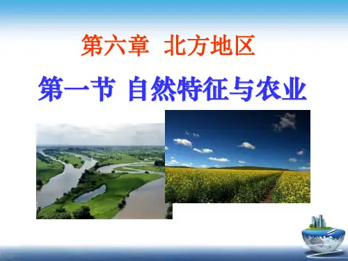 《自然特征与农业》北方地区PPT课件五