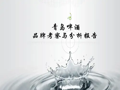 青岛啤酒品牌考察与分析报告