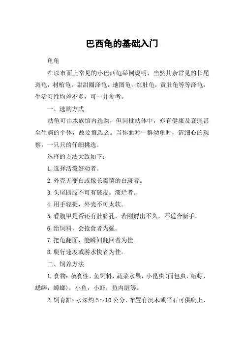 巴西龟的基础入门
