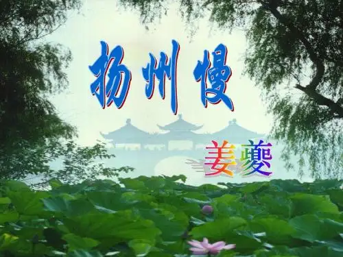 扬州慢2010
