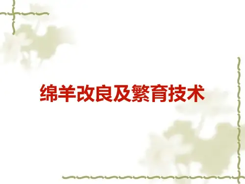 绵羊改良技术.