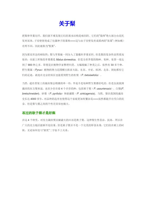 关于梨