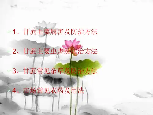 甘蔗病虫草害防治技术课件