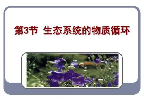5.3 生态系统的物质循环
