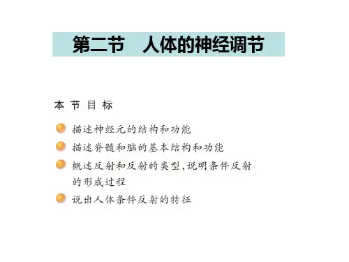 12-2  人体的神经调节