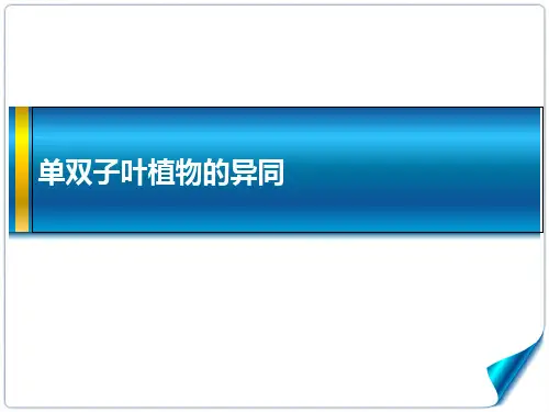 单双子叶植物的区别