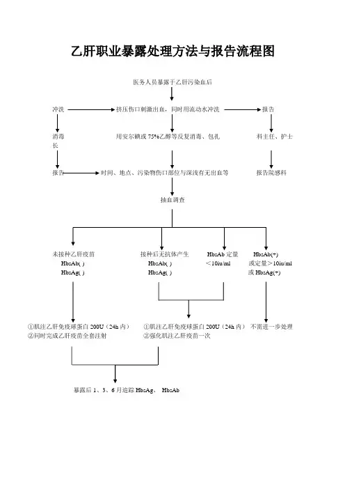 乙肝职业暴露处理方法与报告流程图