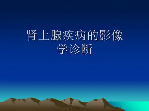 肾上腺疾病的影像学诊断