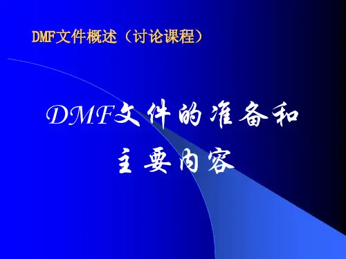 DMF文件的准备和主要内容.