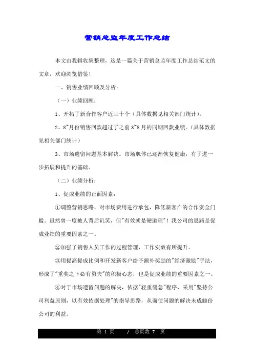 营销总监年度工作总结.doc