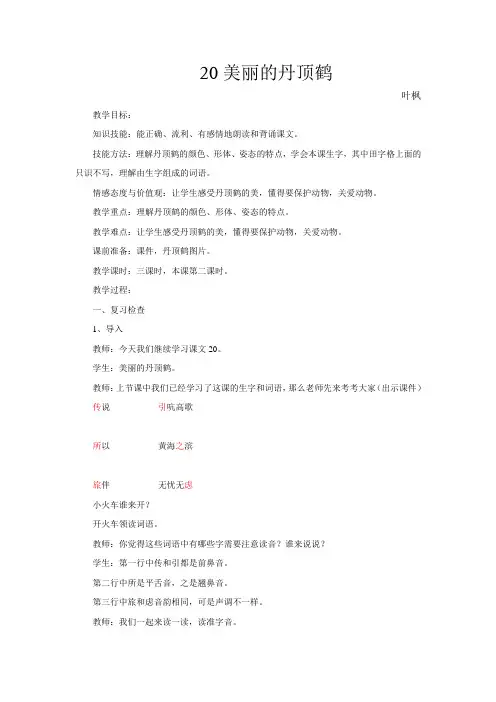 19 美丽的丹顶鹤