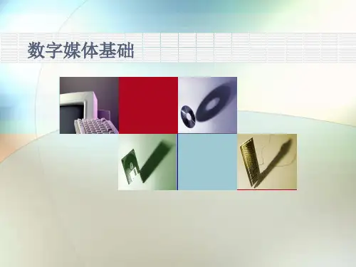 数字媒体压缩技术